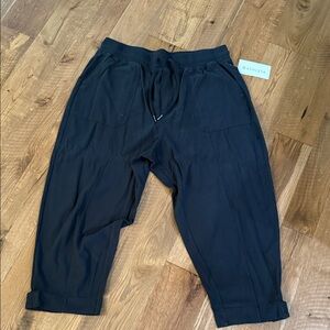 Athleta Midnight Black women’s Relaxed Cropped Pants